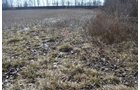 Property photo 35 - East Allen County - 55 Acre Land Auction